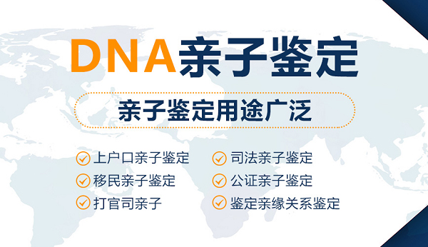 攀枝花司法亲子鉴定到哪里办理,攀枝花司法DNA亲子鉴定详细流程及材料