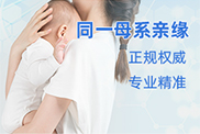 同一母系亲缘关系鉴定